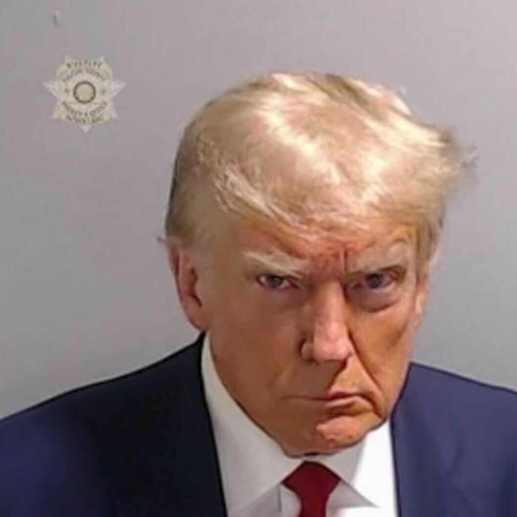 Trump's Mug Shot